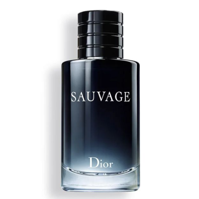 Чоловічі парфуми Dior Savage 2015 EDT 100ml